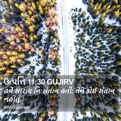 ઉત્પત્તિ 11:30 GUJIRV Bible Verse Image