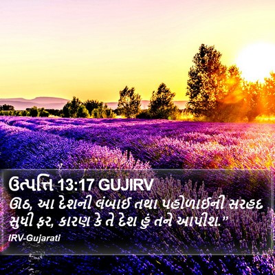 ઉત્પત્તિ 13:17 GUJIRV Bible Verse Image