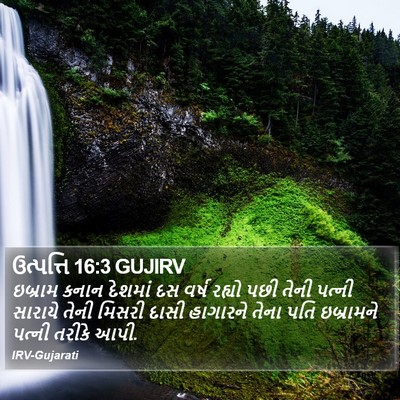 ઉત્પત્તિ 16:3 GUJIRV Bible Verse Image