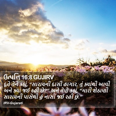ઉત્પત્તિ 16:8 GUJIRV Bible Verse Image