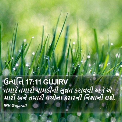ઉત્પત્તિ 17:11 GUJIRV Bible Verse Image
