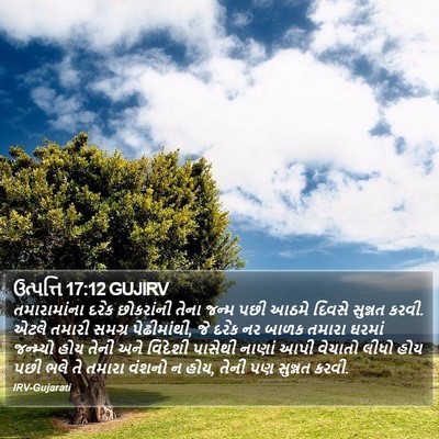 ઉત્પત્તિ 17:12 GUJIRV Bible Verse Image