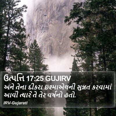 ઉત્પત્તિ 17:25 GUJIRV Bible Verse Image