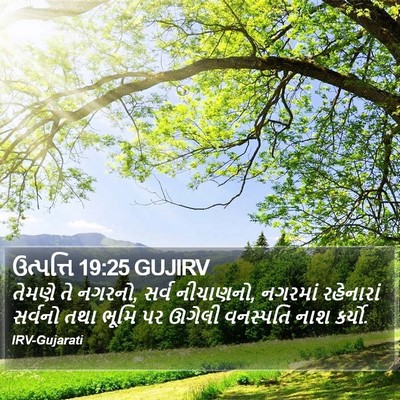 ઉત્પત્તિ 19:25 GUJIRV Bible Verse Image