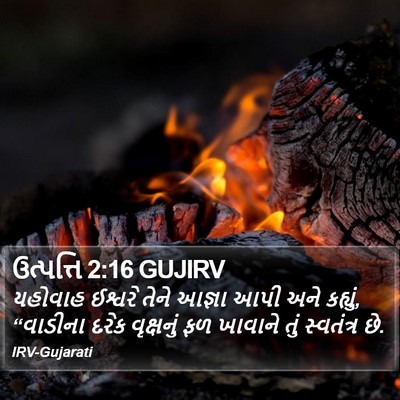 ઉત્પત્તિ 2:16 GUJIRV Bible Verse Image