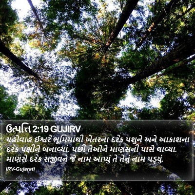 ઉત્પત્તિ 2:19 GUJIRV Bible Verse Image