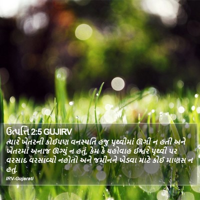 ઉત્પત્તિ 2:5 GUJIRV Bible Verse Image