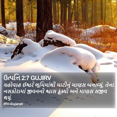 ઉત્પત્તિ 2:7 GUJIRV Bible Verse Image