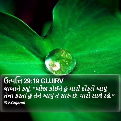 ઉત્પત્તિ 29:19 GUJIRV Bible Verse Image