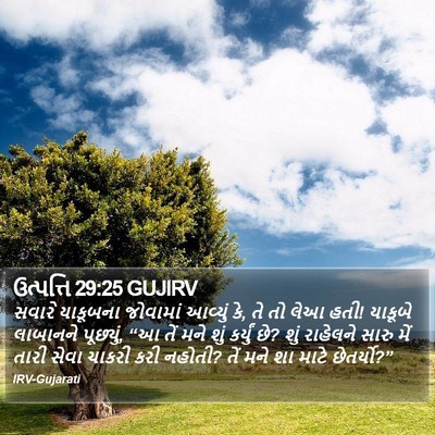 ઉત્પત્તિ 29:25 GUJIRV Bible Verse Image