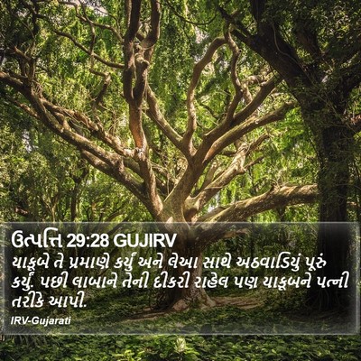 ઉત્પત્તિ 29:28 GUJIRV Bible Verse Image