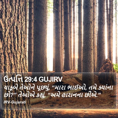 ઉત્પત્તિ 29:4 GUJIRV Bible Verse Image