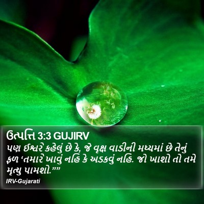 ઉત્પત્તિ 3:3 GUJIRV Bible Verse Image