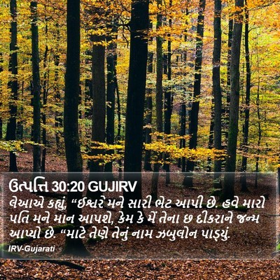 ઉત્પત્તિ 30:20 GUJIRV Bible Verse Image