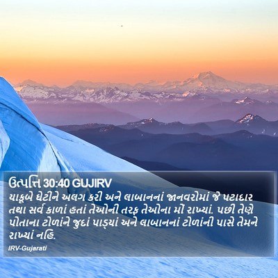 ઉત્પત્તિ 30:40 GUJIRV Bible Verse Image