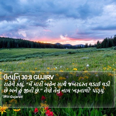 ઉત્પત્તિ 30:8 GUJIRV Bible Verse Image