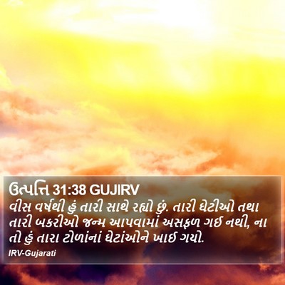 ઉત્પત્તિ 31:38 GUJIRV Bible Verse Image