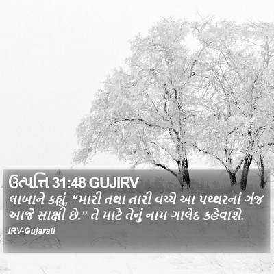 ઉત્પત્તિ 31:48 GUJIRV Bible Verse Image