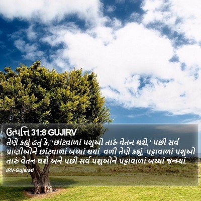 ઉત્પત્તિ 31:8 GUJIRV Bible Verse Image