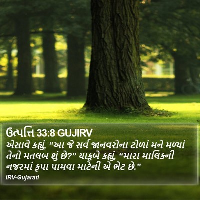 ઉત્પત્તિ 33:8 GUJIRV Bible Verse Image