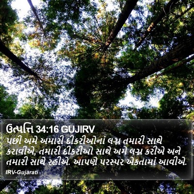 ઉત્પત્તિ 34:16 GUJIRV Bible Verse Image