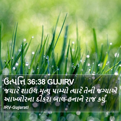 ઉત્પત્તિ 36:38 GUJIRV Bible Verse Image