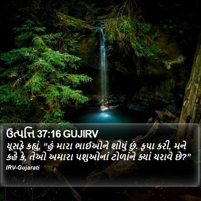 ઉત્પત્તિ 37:16 GUJIRV Bible Verse Image
