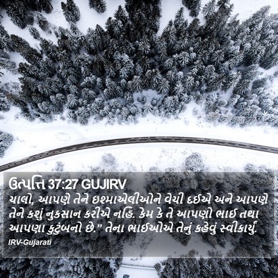 ઉત્પત્તિ 37:27 GUJIRV Bible Verse Image
