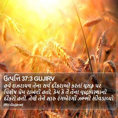 ઉત્પત્તિ 37:3 GUJIRV Bible Verse Image
