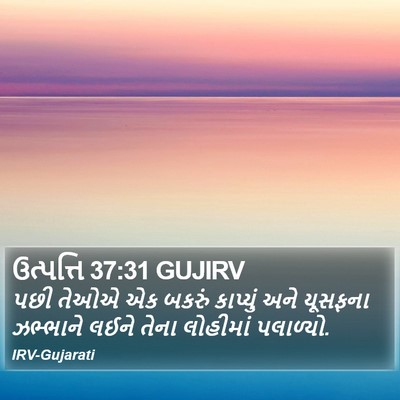 ઉત્પત્તિ 37:31 GUJIRV Bible Verse Image
