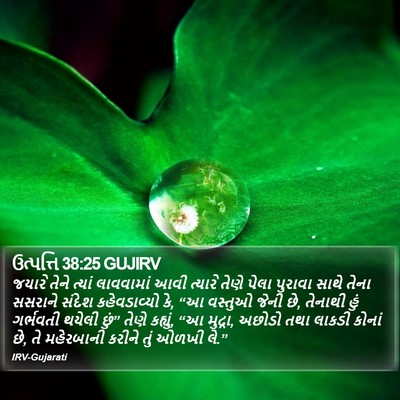 ઉત્પત્તિ 38:25 GUJIRV Bible Verse Image
