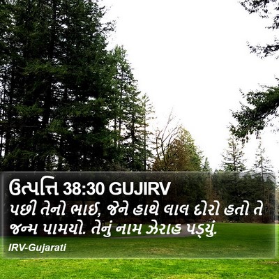 ઉત્પત્તિ 38:30 GUJIRV Bible Verse Image