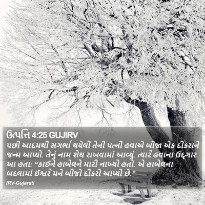 ઉત્પત્તિ 4:25 GUJIRV Bible Verse Image