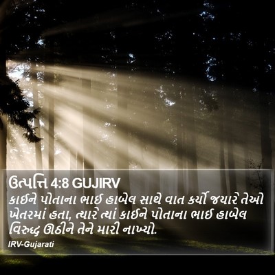 ઉત્પત્તિ 4:8 GUJIRV Bible Verse Image