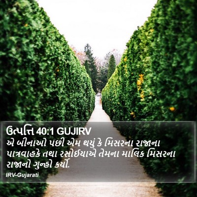 ઉત્પત્તિ 40:1 GUJIRV Bible Verse Image