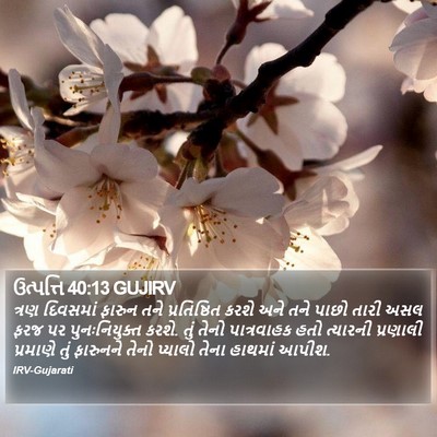 ઉત્પત્તિ 40:13 GUJIRV Bible Verse Image