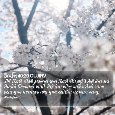 ઉત્પત્તિ 40:20 GUJIRV Bible Verse Image