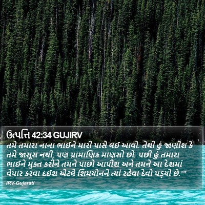 ઉત્પત્તિ 42:34 GUJIRV Bible Verse Image