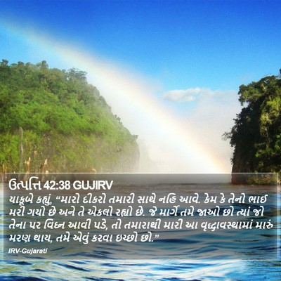 ઉત્પત્તિ 42:38 GUJIRV Bible Verse Image