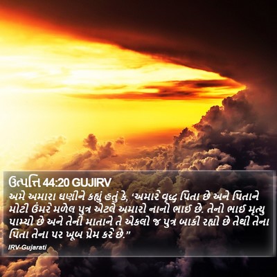 ઉત્પત્તિ 44:20 GUJIRV Bible Verse Image