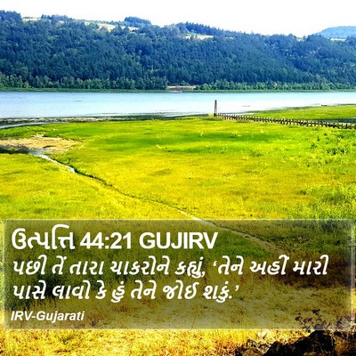 ઉત્પત્તિ 44:21 GUJIRV Bible Verse Image