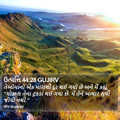 ઉત્પત્તિ 44:28 GUJIRV Bible Verse Image