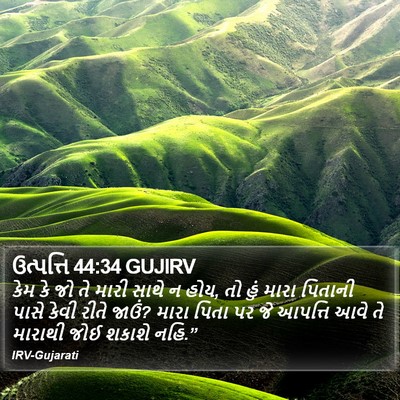 ઉત્પત્તિ 44:34 GUJIRV Bible Verse Image