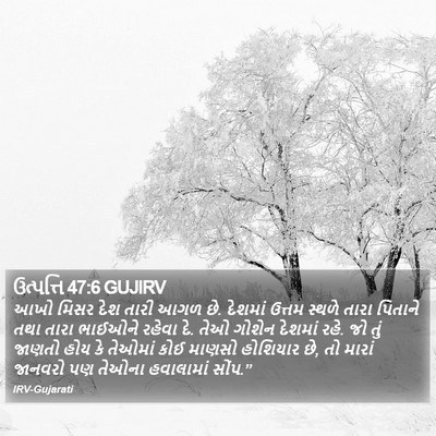 ઉત્પત્તિ 47:6 GUJIRV Bible Verse Image
