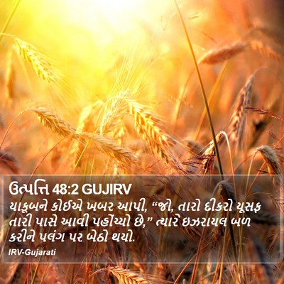 ઉત્પત્તિ 48:2 GUJIRV Bible Verse Image