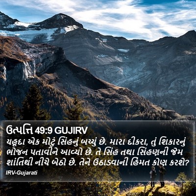 ઉત્પત્તિ 49:9 GUJIRV Bible Verse Image