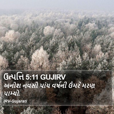 ઉત્પત્તિ 5:11 GUJIRV Bible Verse Image