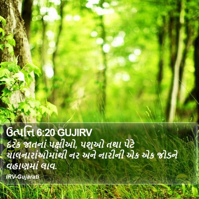 ઉત્પત્તિ 6:20 GUJIRV Bible Verse Image