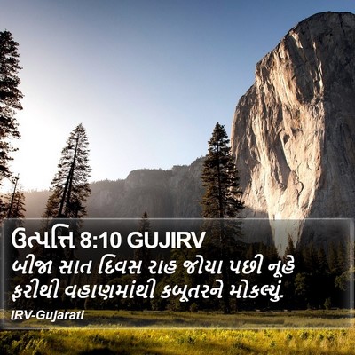 ઉત્પત્તિ 8:10 GUJIRV Bible Verse Image