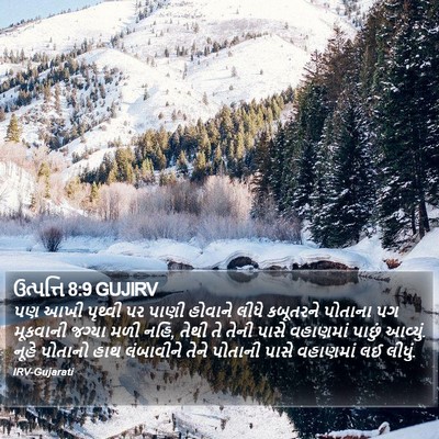 ઉત્પત્તિ 8:9 GUJIRV Bible Verse Image